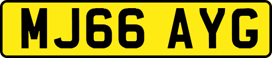 MJ66AYG