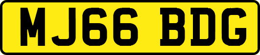 MJ66BDG