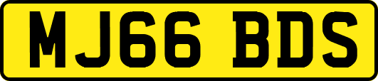 MJ66BDS