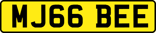 MJ66BEE