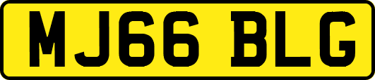 MJ66BLG
