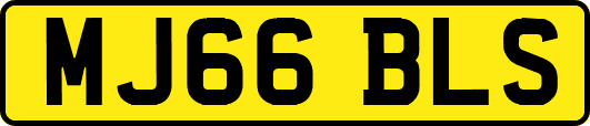 MJ66BLS