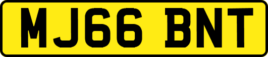 MJ66BNT