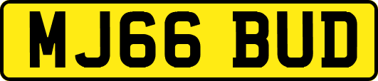 MJ66BUD