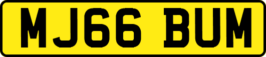 MJ66BUM