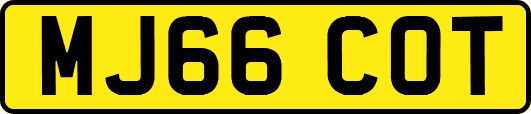 MJ66COT