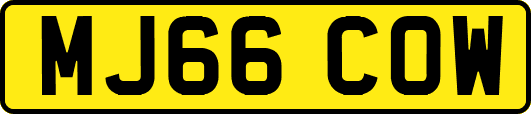 MJ66COW