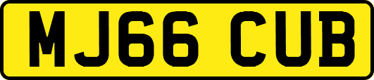 MJ66CUB