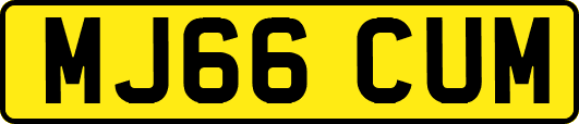 MJ66CUM