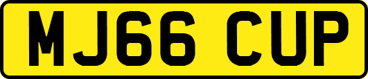 MJ66CUP