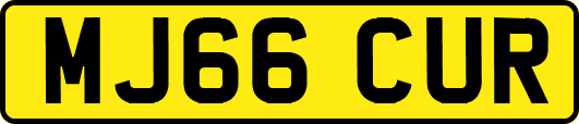 MJ66CUR