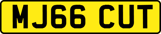 MJ66CUT