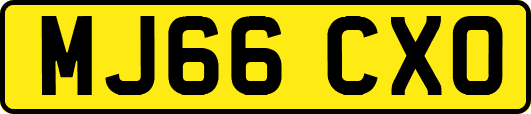 MJ66CXO