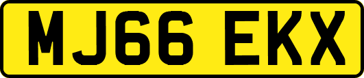 MJ66EKX