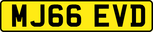 MJ66EVD