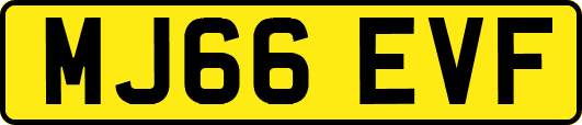 MJ66EVF