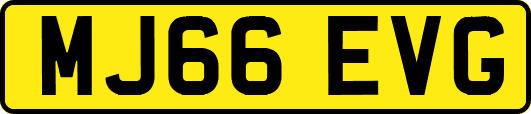 MJ66EVG