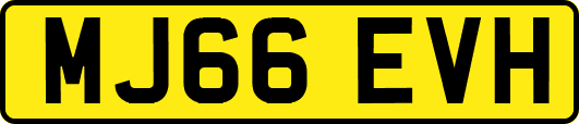 MJ66EVH