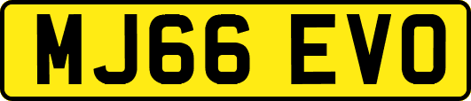 MJ66EVO