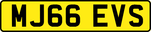 MJ66EVS