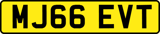 MJ66EVT