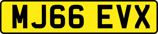 MJ66EVX