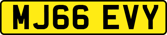 MJ66EVY