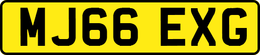 MJ66EXG