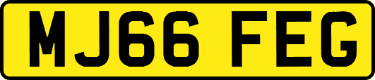 MJ66FEG