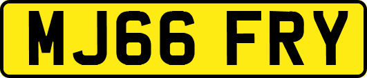 MJ66FRY