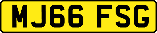 MJ66FSG
