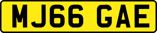 MJ66GAE