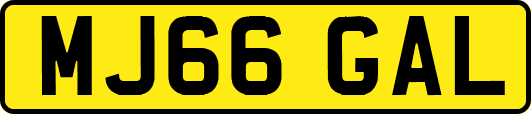 MJ66GAL
