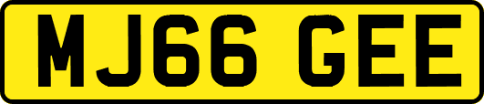 MJ66GEE