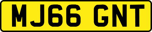 MJ66GNT
