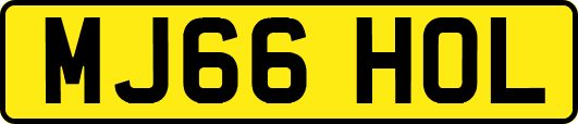 MJ66HOL