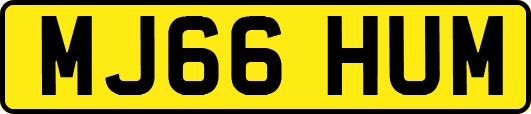 MJ66HUM