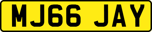 MJ66JAY