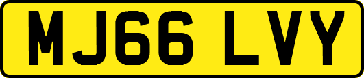 MJ66LVY