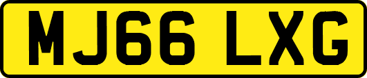 MJ66LXG