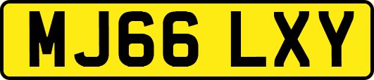 MJ66LXY