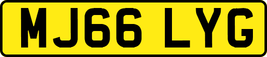MJ66LYG
