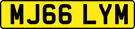 MJ66LYM