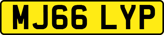 MJ66LYP