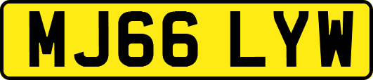 MJ66LYW