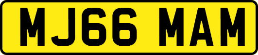 MJ66MAM