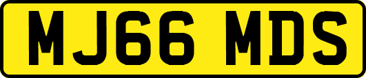 MJ66MDS