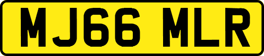 MJ66MLR