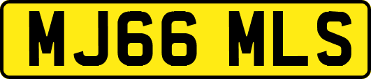 MJ66MLS