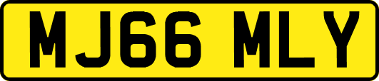 MJ66MLY